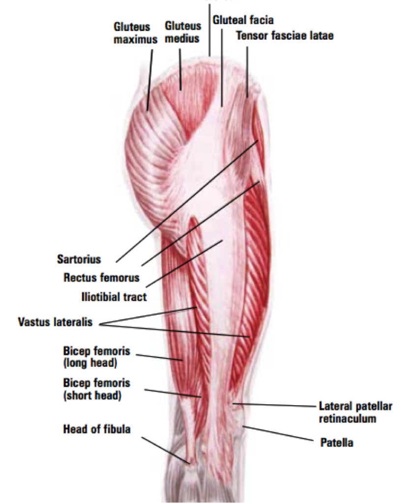 How To Treat Itb Effectively Cape Town Physiotherapy